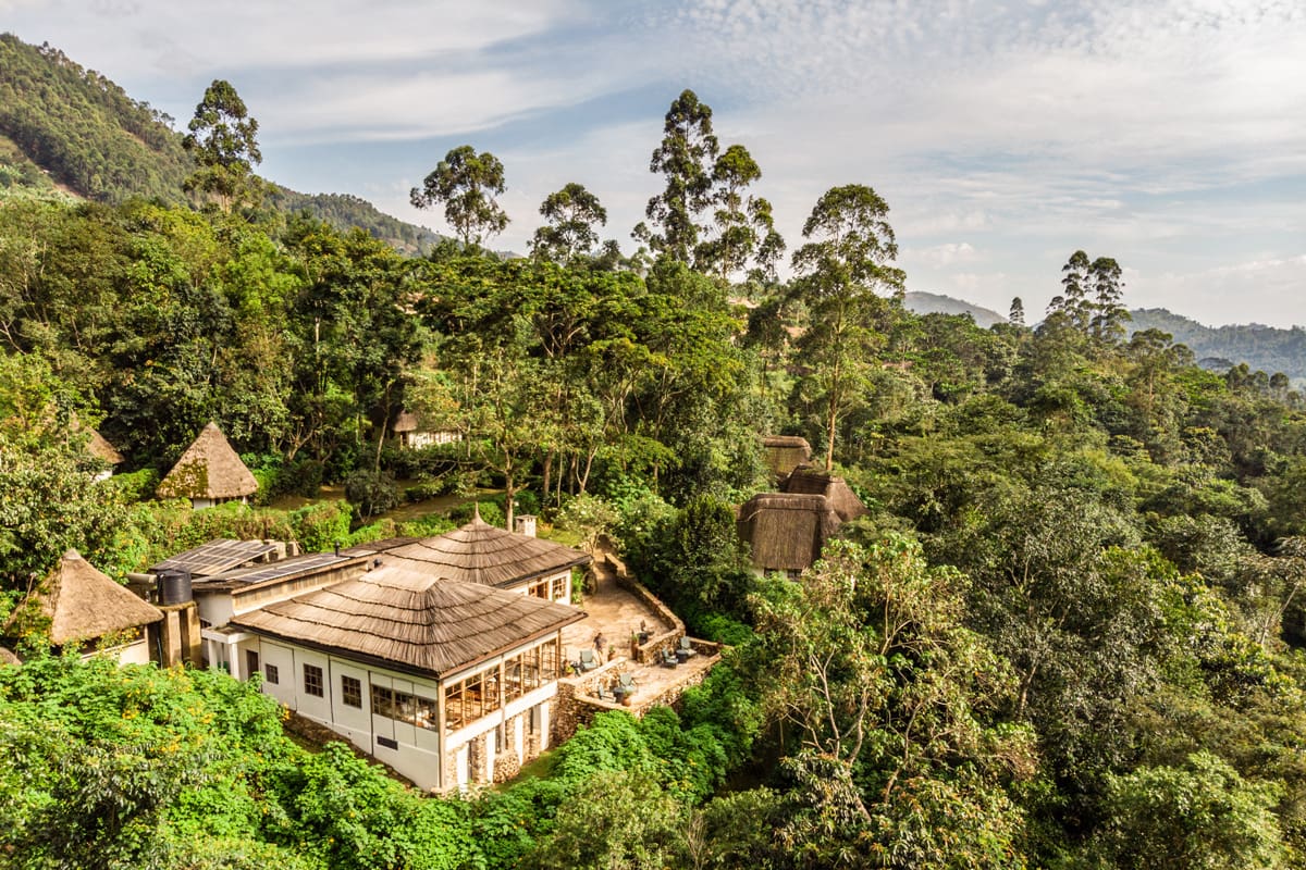 Bwindi Lodges — Every Budget