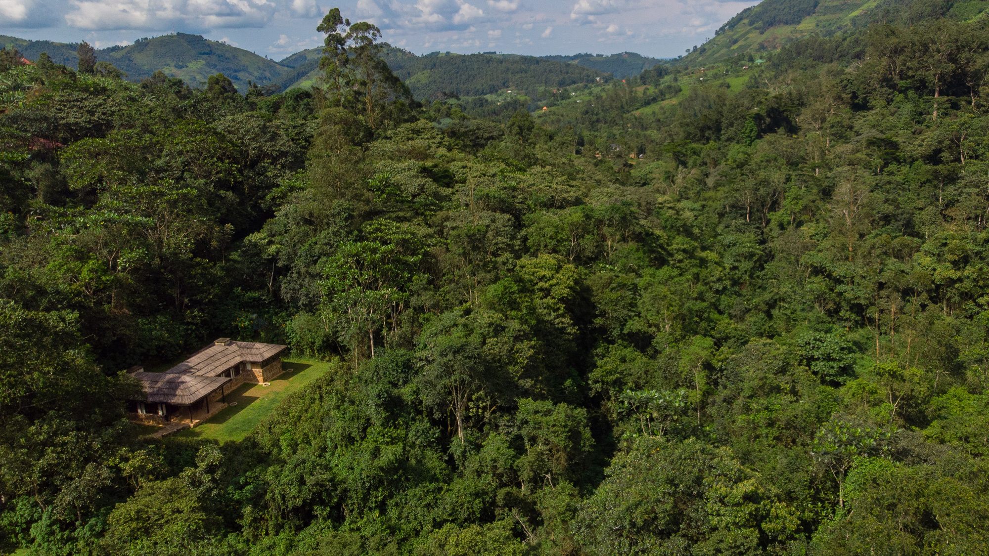 Bwindi Lodge photo 5