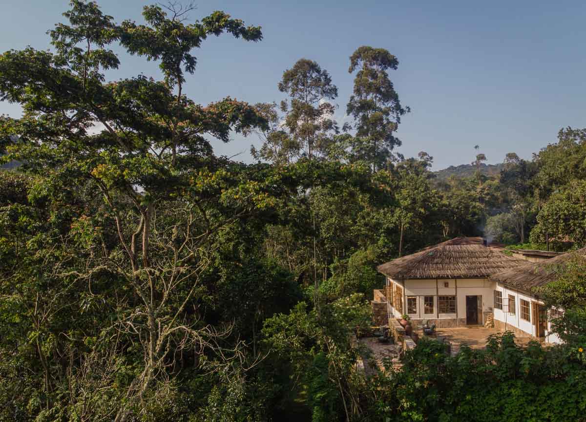 Bwindi Lodge photo 2