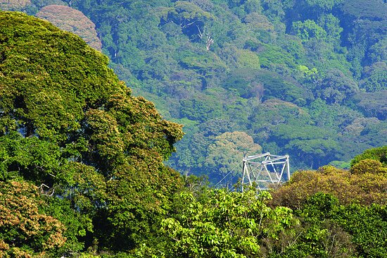 Rwanda & Uganda 11-Day Executive Express