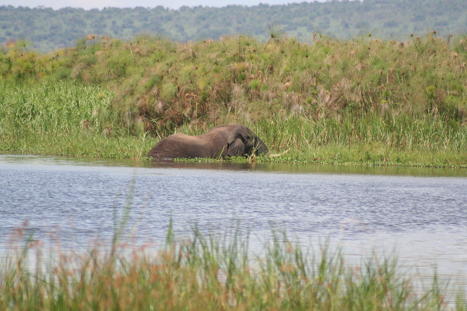 Akagera National Park