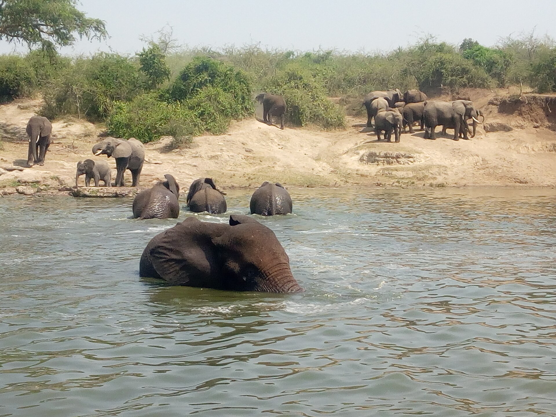 Safari Extension Lodges