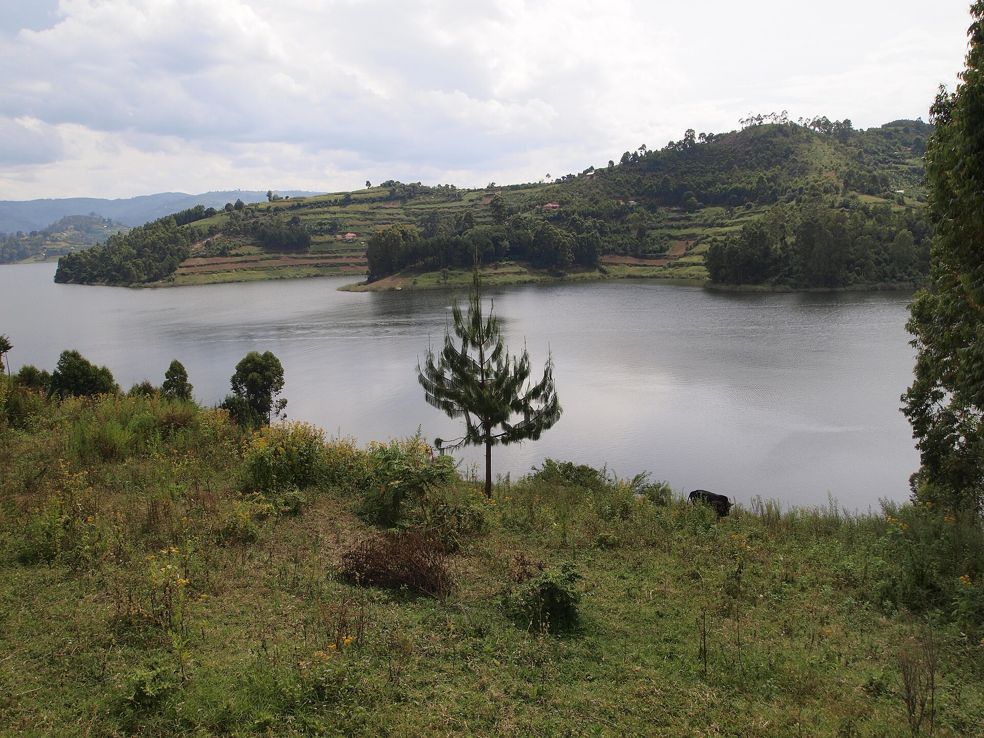 Rwanda 5-Day Volcanoes Circuit