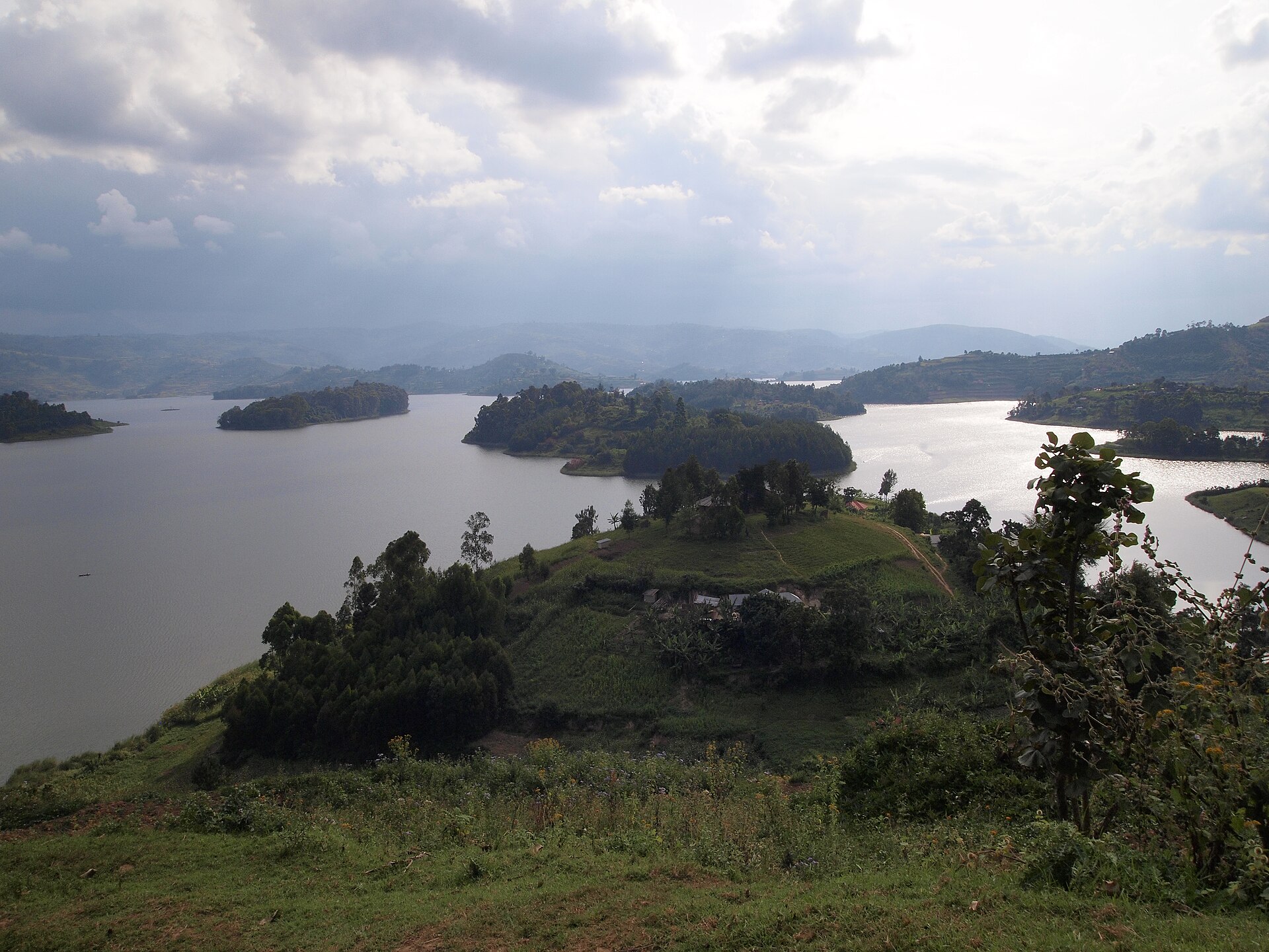 Bwindi Impenetrable National Park