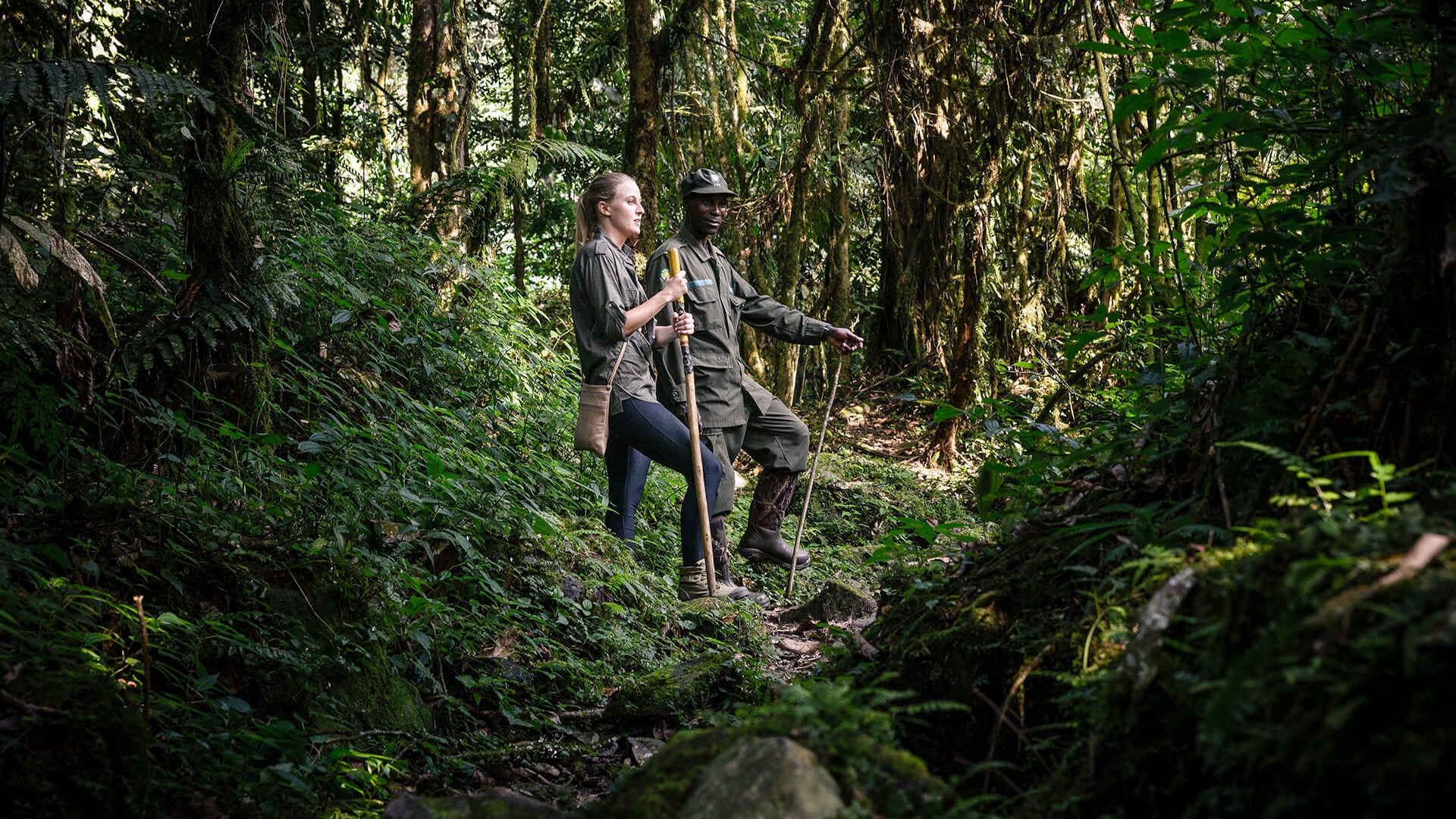 Sanctuary gorilla forest camp gorilla trek guide