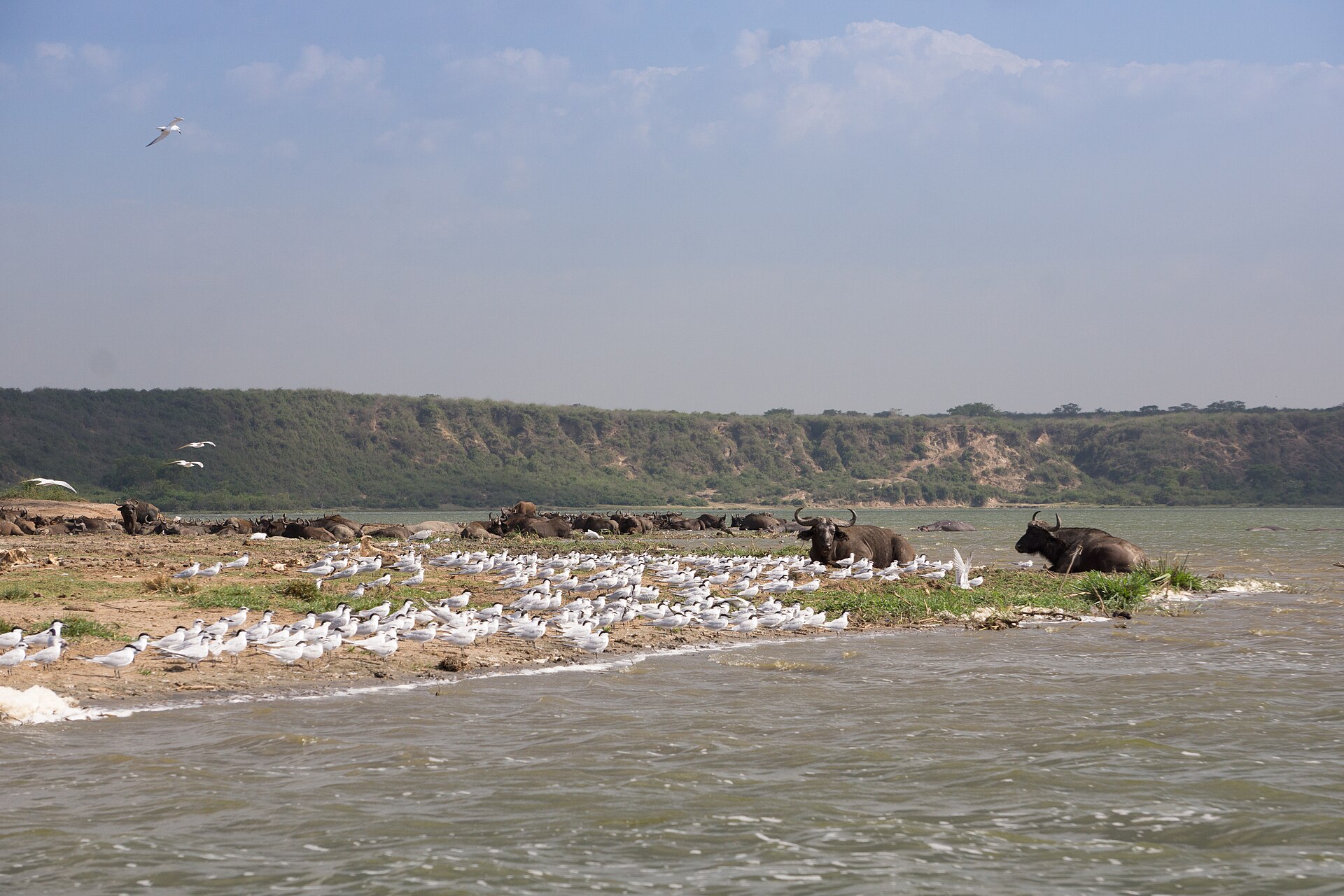 Uganda & Rwanda Combined Itinerary