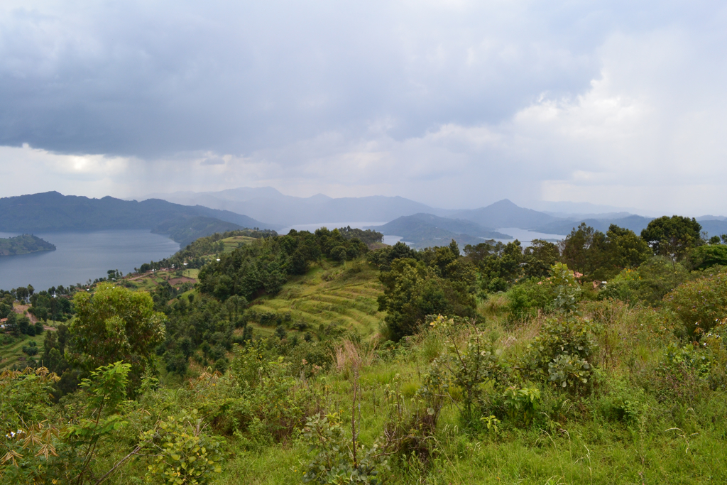 Virunga Lodge photo 1