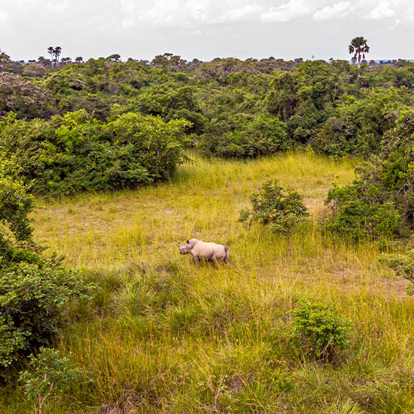 Ziwa Rhino Sanctuary photo 2
